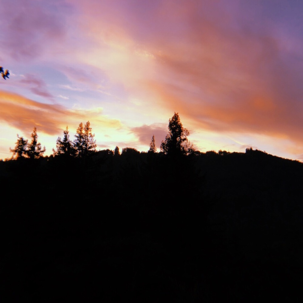 Meet your Posher, Kiyomi